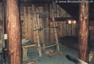 Wikinger-Haus Bäckedal (1)