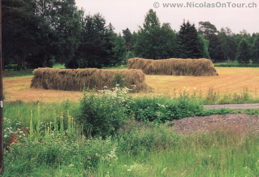Fr 16.07.1999 | Östersund – Storvallen