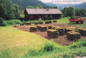 Rasenabbau in Oppdal