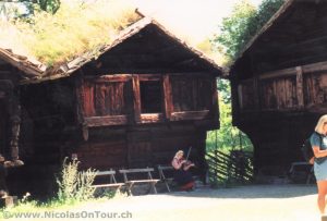 Folkemuseum (2)