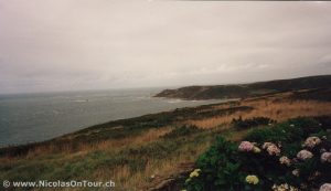 Nez de Jobourg (3)