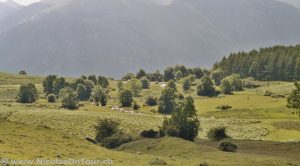 Plateau de Bénou (2)
