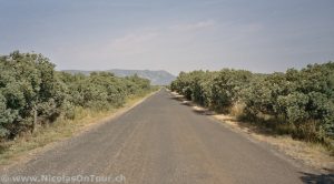 Strasse Richtung Tuchan