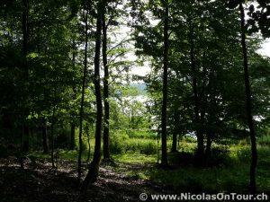 Kolding - Esbjerg (1)