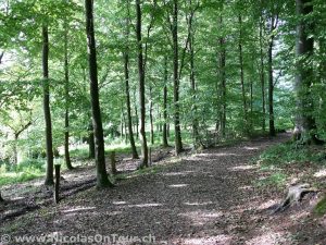 Kolding - Esbjerg (2)