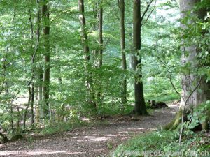 Kolding - Esbjerg (3)