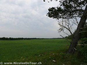 Kolding - Esbjerg (5)