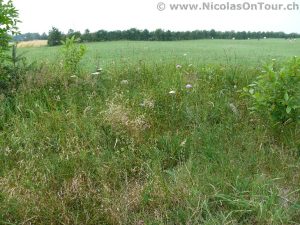 Kolding - Esbjerg (6)