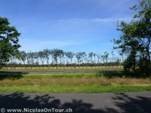 Landschaft zwischen Esbjerg und Varde
