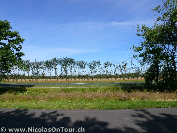 So 15.07.2007 | Esbjerg – Viborg