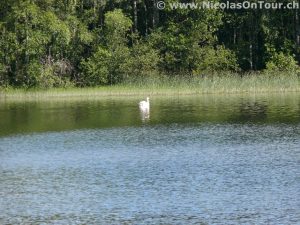 Landschaft bei Gran (2)