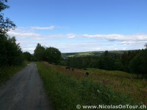 Strasse über den Berg nach Brandbu