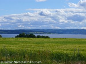 Landschaft zwischen Lillehammer und Brumunddal (3)