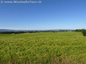 Blick über die Felder bei Stange