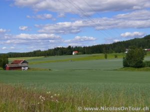 Landschaft zwischen Minnesund und Vormsund (1)