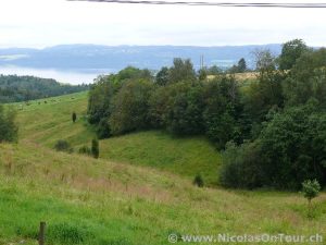 Landschaft zwischen Fetsund und Mysen (1)