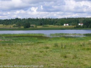 Impressionen von der Strecke von Uddevalla nach Vänersborg (4)