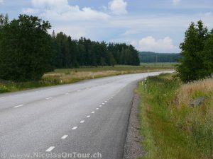 Impressionen auf der Fahrt von Vänersborg nach Åmål (4)
