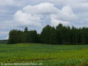 Impressionen auf der Fahrt von Vänersborg nach Åmål (5)