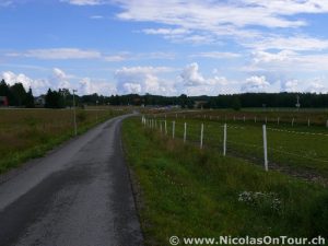 Impressionen zwischen Åmål und Vålberg (1)