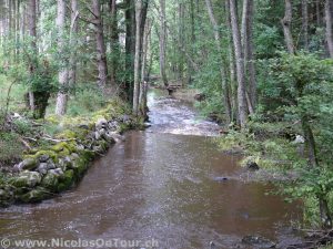 Besonders brauner Bach kurz nach Regenguss bei Medelplana (1)