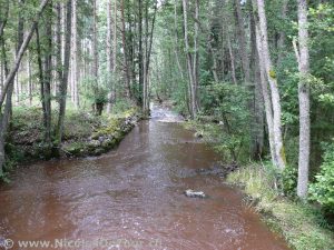 Besonders brauner Bach kurz nach Regenguss bei Medelplana (2)