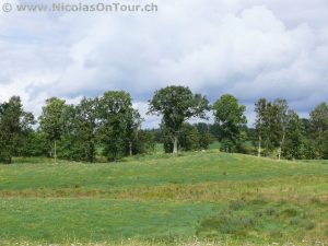Von Eggby via Timmersdala nach Skövde (1)