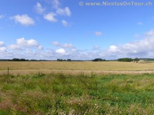Landschaft zwischen Skövde und Hjo (1)