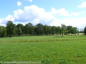 Impressionen von der Fahrt von Hjo nach Jönköping (4)