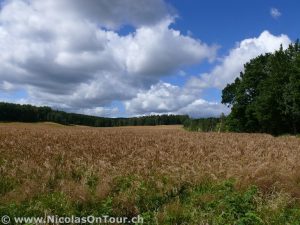 Impressionen von der Fahrt von Hjo nach Jönköping (5)