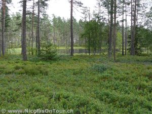 Impressionen von der Fahrt von Hjo nach Jönköping (7)