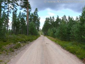 Impressionen von der Fahrt von Hjo nach Jönköping (9)