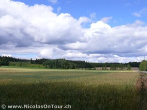 Landschaft auf der Fahrt nach Bodafors