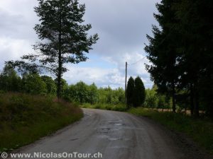 Landschaft zwischen Sävsjö und Rankvilla (1)