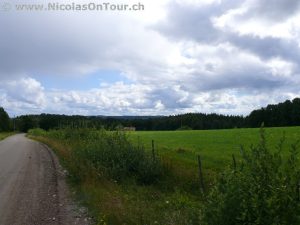 Landschaft zwischen Sävsjö und Rankvilla (2)