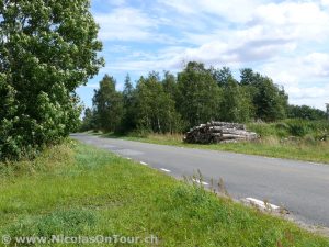 Impressionen bei Vinslöv (2)
