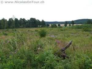 Landschaftsbilder auf der Fahrt von Hässleholm nach Malmö (2)