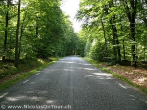 Landschaftsbilder auf der Fahrt von Hässleholm nach Malmö (3)