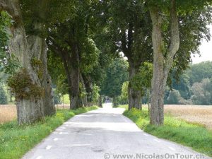 Landschaftsbilder auf der Fahrt von Hässleholm nach Malmö (7)
