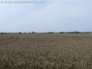 Landschaftsbilder auf der Fahrt von Hässleholm nach Malmö (8)