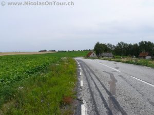 Landschaftsbilder auf der Fahrt von Hässleholm nach Malmö (10)