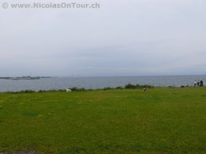 Blick von Malmö auf den Öresund