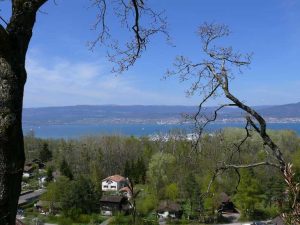 26.04.2008 | Am Neuenburgersee