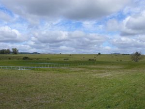 04.09.2008 | Flache Landschaft in Uruguay