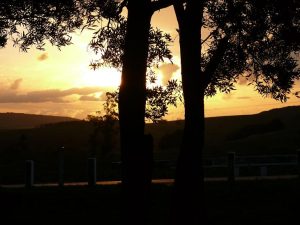 04.09.2008 | Sonnenuntergang