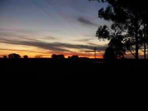 08.09.2008 | Abendstimmung
