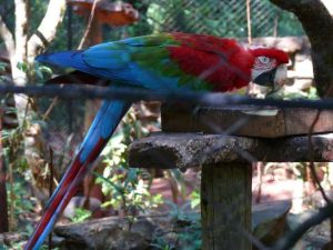 26.09.2008 | Güira Oya