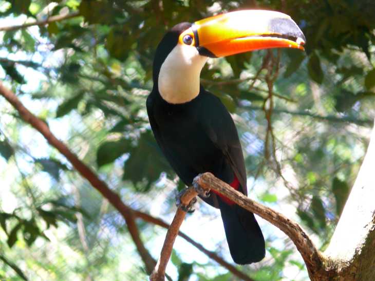 Di 30.09.2008 | Cataratas del Iguazú – Formosa