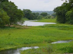 29.09.2009 | Bei Clorinda