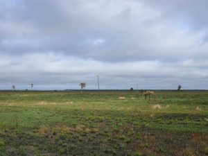 30.09.2008 | Weite Ebenen in Argentinien